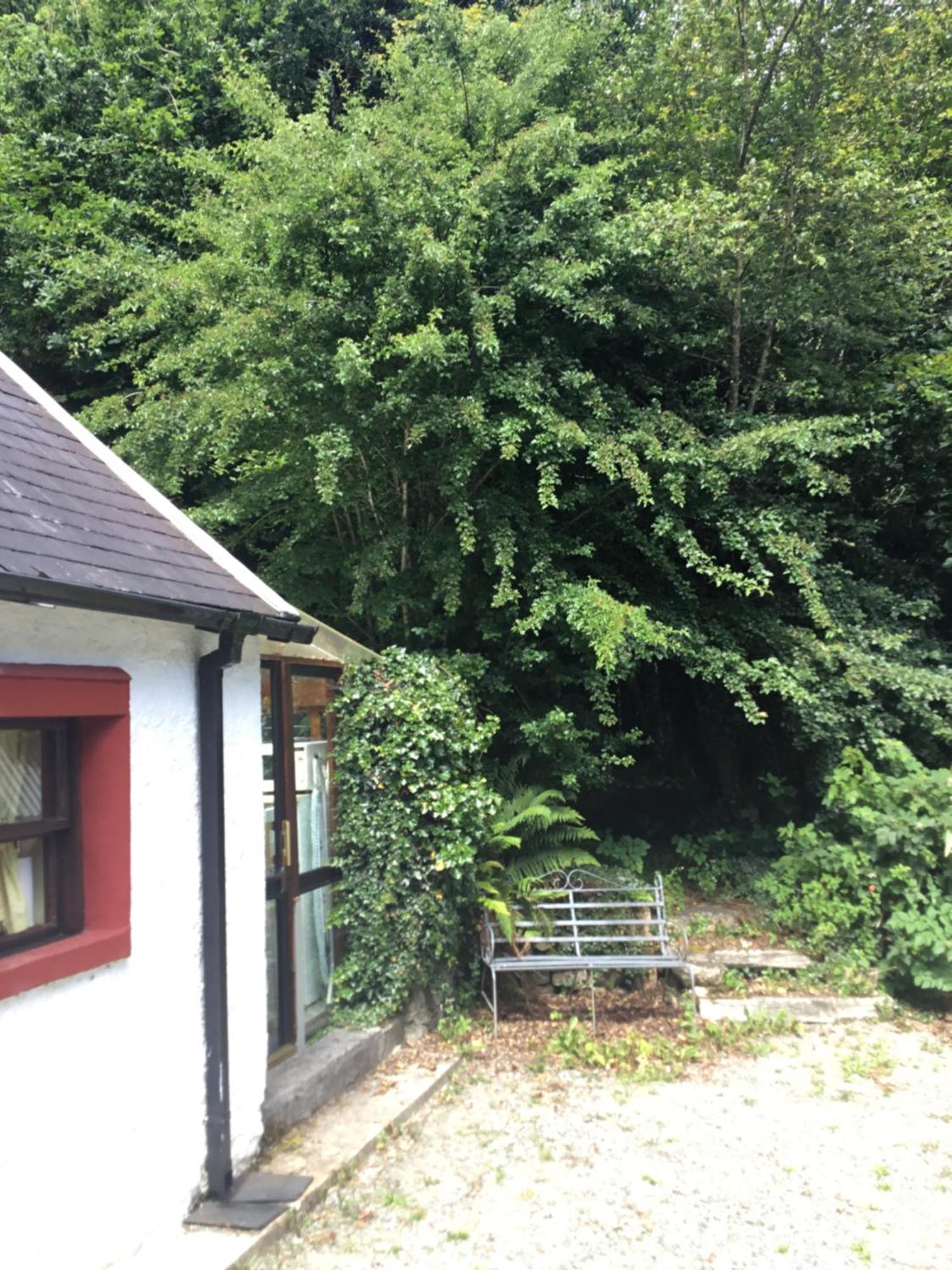 Traditional 18Th Century Converted Stables Wexford Exterior photo